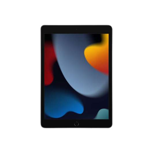 Apple iPad 10.2" Wi-Fi 256GB - Rymdgrå
