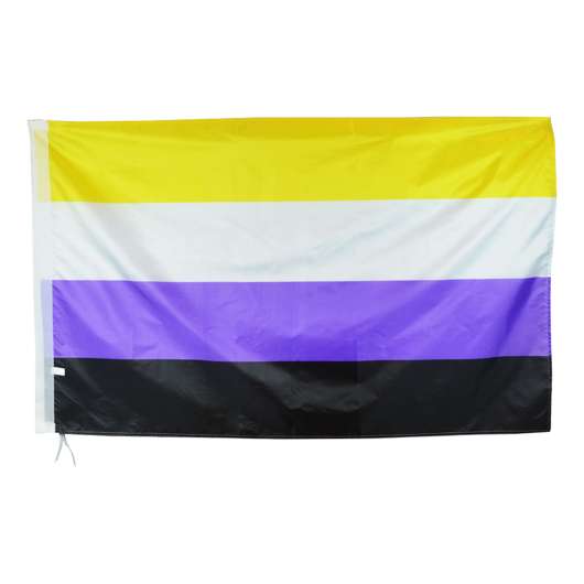 Flagga XL Pride Ickebinär