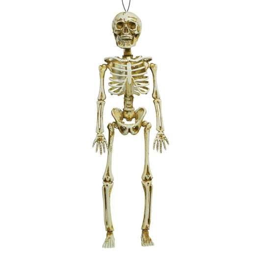 Hängande Skelett