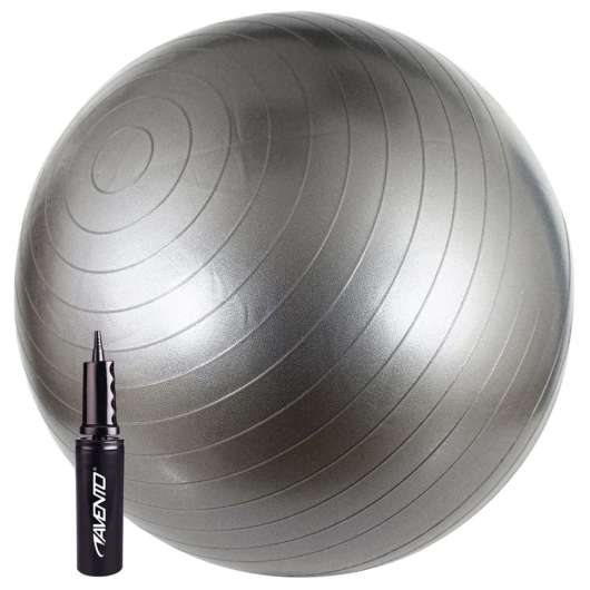vidaXL Fitnessboll 65 cm silver